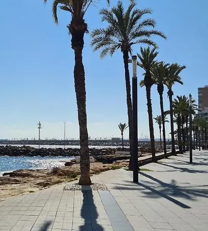 Apartment Sofia La Mata