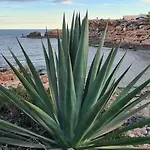 Sofia La Mata Apartment Torre La Mata