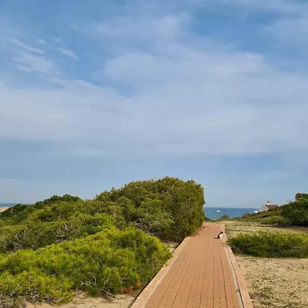 アパート Sofia La Mata ラ・マタ