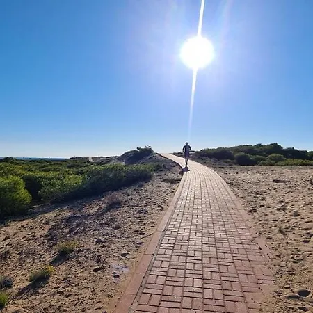 Sofia La Mata アパート