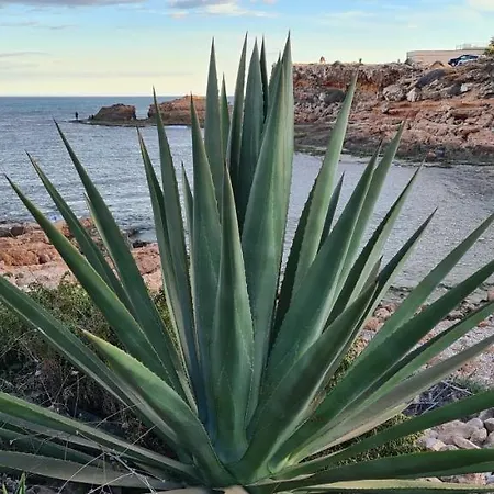 Sofia La Mata アパート ラ・マタ